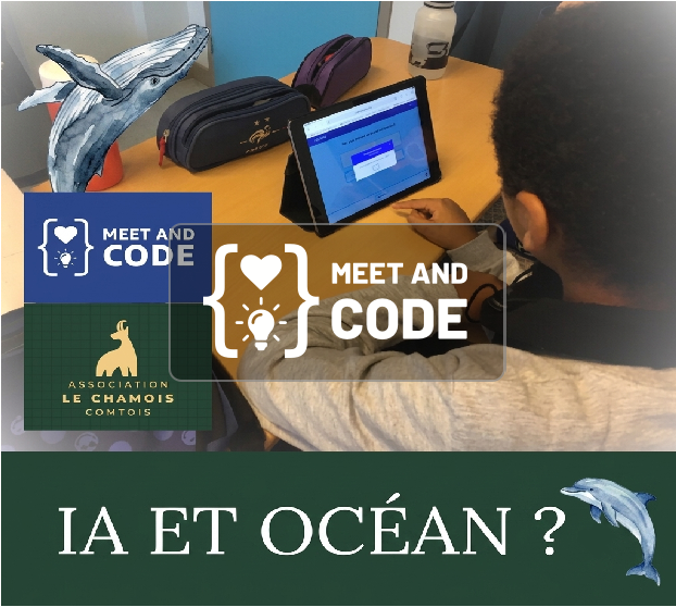 L'intelligence artificielle et l'océan ?