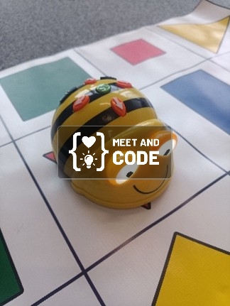 Coding for Year 3